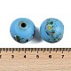 Handmade Lampwork Beads(BLOW-D006-01E)-4