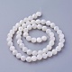 Shell Beads Strands(SSHEL-E571-38-6mm)-2