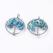 Synthetic Turquoise Pendants, with Brass Findings, Flat Round with Tree of Life, Platinum, 29x5~7mm, Hole: 4.5mm(G-E419-02P)
