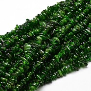 Natural Diopside Chip Beads Strands, 5~14x4~10mm, Hole: 1mm, about 15.5 inch~16.1 inch(G-E271-94)