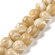 Natural Trochus Shell Beads Strands, Round, BurlyWood, 10mm, Hole: 1mm, about 41pcs/strand, 16.02''(40.7cm)(SHEL-K006-18D)