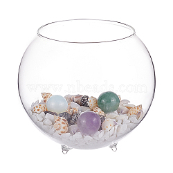 BENECREAT DIY Microlandscape Glass Cylinder Making Kits, Including Glass Fish Bowl, Silica Sands, Shell & Gemstone Beads, 99x90mm(DIY-BC0005-41)