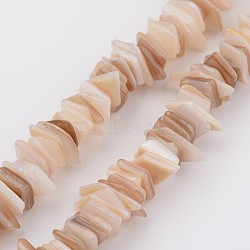 Natural Shell Bead Strands, Rectangle, BurlyWood, 5~17x5~7x1~4mm, Hole: 1mm, about 200pcs/strand, 15.7 inch(BSHE-P021-14)