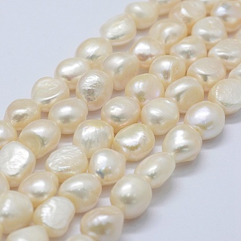 Natural Cultured Freshwater Pearl Beads Strands, Potato, Old Lace, 11~12x11~12x8~9mm, Hole: 0.2mm, about 30pcs/strand, 14.1 inch