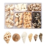 Mixed Color Mixed Shapes Other Sea Shell Beads(SSHEL-YW0001-02)
