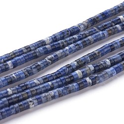 Natural Sodalite Beads Strands, Heishi Beads, Flat Round/Disc, 4~4.5x2.5mm, Hole: 0.7mm, about 167pcs/strand, 15.43 inch(39.2cm)(G-H230-10)