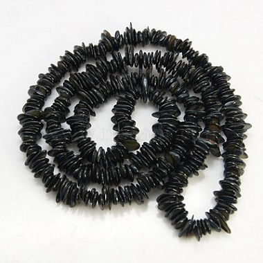 Natural Shell Beads Strands(X-BSHE-D003-8)-2