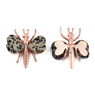 Natural Dalmatian Jasper Display Decorations, with Rose Gold Color Plated Alloy Findings, Dragonfly, 44x36~39x12mm(G-N0326-102A)