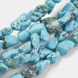 Natural Magnesite Beads Strands, Dyed & Heated, Chip, 6~12x6~18x4~8mm, Hole: 1mm, about 45pcs/strand, 15.75 inch(TURQ-G101-03)