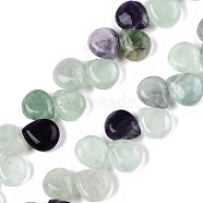 Natural Fluorite Beads Strands, Teardrop, Top Drilled, 12~12.5x10~11x5~5.5mm, Hole: 1~1.2mm, about 33pcs/strand, 8.86~10.2''(22.5~25.5cm)(G-T138-118)