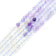 Natural Fluorite Beads Strands, Faceted, Round, 2mm, Hole: 0.5mm, about 215pcs/strand, 15.16''~15.55''(38.5~39.5cm)(G-P457-A01-19)