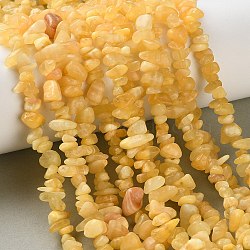 Natural Yellow Jade Beads Strands, Chip, 1.5~7.5x3~15x3~7mm, Hole: 1mm, 31.50''(80cm)(GG-NH0009-A02-02)