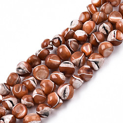 Natural Trochid Shell/Trochus Shell Beads Strands, Dyed, Nuggets, Sienna, 7~12x5~10x4~8mm, Hole: 1mm, about 60~64pcs/strand, 15.16 inch~15.75 inch(38.5~40cm)(SSHEL-N032-48-A07)