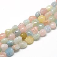 Natural Morganite Beads Strands, Oval, 6~10x4~7x4~7mm, Hole: 1mm, about 43~62pcs/strand, 15.7 inch(G-R445-6x8-28)