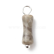 Natural Fossil Pendants, with Silver Tone Brass Findings, Bamboo-Shaped Charm, 17.5x5mm, Hole: 2.5~2.7mm(PALLOY-JF01839-02)