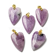 Natural Lepidolite Pendants, with Rack Plating Golden Plated Brass Findings, Long-Lasting Plated, Heart, 32~34x20x8mm, Hole: 4x4mm(G-E570-01G-14)