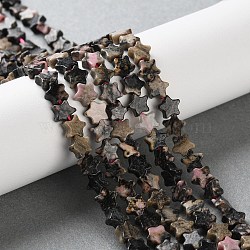 Natural Rhodonite Beads Strands, Star, 6x6x2.5mm, Hole: 0.7mm, about 71~73pcs/strand, 14.37''~14.96''(36.5~38cm)(G-G085-B50-02)