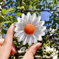 Natural Selenite Daisy Sculpture, for Home Office Desk Decoration, 50mm(PW-WG52105-01)