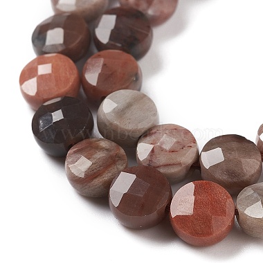 naturelles pétrifiés perles de bois brins(G-K332-B02)-3