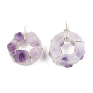 Natural Amethyst Pendants, with Aluminium Wire Wrapped, Ring Charm, Platinum, 49~50x36.5~43x21~23.5mm, Hole: 3.5mm(G-T040-01P)