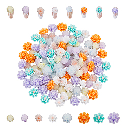 120Pcs 8 Styles  Flower Resin Cabochons, Glow in the Dark, Nail Art Accessories Decorations, Mixed Color, 9.5~11x5.5~6.5mm, 15pcs/style(MRMJ-FH0001-30)
