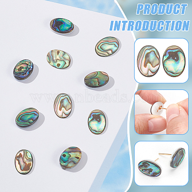 10Pcs Natural Paua Shell Cabochons(FIND-BC0005-54)-4