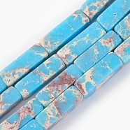 Synthetic Imperial Jasper Bead Strands, Dyed, Cuboid, Light Sky Blue, 12~13.5x4~4.5mm, Hole: 0.8mm, about 29pcs/strand, 14.96 inch~15.19 inch(38~38.6cm)(G-E508-02E)