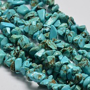 Chips Synthetic Turquoise Beads Strands, Dyed, Dark Turquoise, 5~8x5~8mm, Hole: 1mm, 34 inch(X-G-N0134-08A)