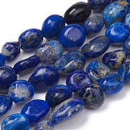 Natural Lapis Lazuli Beads Strands, Nuggets, Tumbled Stone, 5~10x4~5x3~4mm, Hole: 0.8mm, about 61pcs/strand, 15.35 inch(39cm)(G-L493-40)