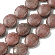 Natural Rhodonite Beads Strands, Flat Oval, 15~16x13.5~14x6~7mm, Hole: 1mm, about 26pcs/strand, 15.79''(40.1cm)(G-K365-B07-03)