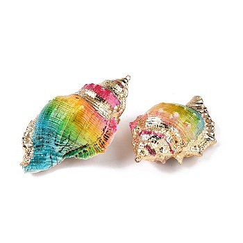 Spray Painted Natural Conch Shell Big Pendants, Shell Shaped Charms with Golden Tone Iron Loops, Colorful, 60~77x43~50x29.5~33.5mm, Hole: 1.6mm