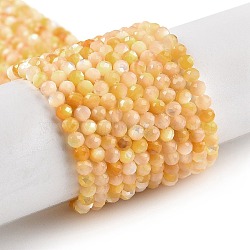 Natural Yellow Shell Beads Strands, Faceted, Round, PeachPuff, 3~3.5mm, Hole: 0.6mm, about 138pcs/strand, 15.55 inch(39.5cm)(BSHE-G036-09B)
