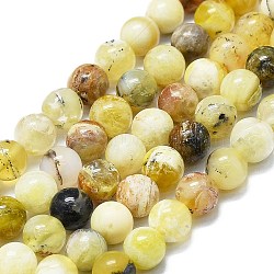 Natural Yellow Opal Beads Strands, Round, 7~8mm, Hole: 0.8mm, about 48pcs/strand, 15.35''(39cm)(G-K245-A07-B03)