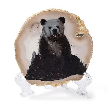 Printed Natural Agate Slice Stone Ornament, for Good Luck Home Office Decor, Bear, 125~135x95~135x6.5~9mm