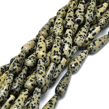 Natural Dalmatian Jasper Beads Strands, Waterdrop, 30x10mm, Hole: 1.4mm, about 13pcs/strand, 15.75''(40cm)