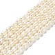 Natural Cultured Freshwater Pearl Beads Strands(PEAR-E016-169)-1