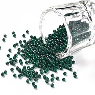 11/0 Grade A Baking Paint Glass Seed Beads, Round, Teal, 2.3x1.5mm, Hole: 1mm, about 5300pcs/50g(X-SEED-N001-A-1029)