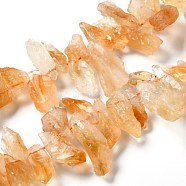 Rough Raw Natural Citrine Beads Strands, Nuggets, 16~33x8~15x6~12mm, Hole: 0.7mm, about 56~57pcs/strand, 16.34''(41.5cm)(G-G010-14)