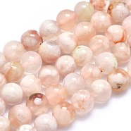 Natural Cherry Blossom Agate Beads Strands, Round, 6mm, Hole: 0.6mm, about 68pcs/strand, 15.7 inch(40cm)(G-I213-23-6mm)