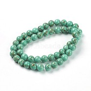 Synthetic Turquoise Beads, Dyed, Round, Dark Turquoise, Size: about 8mm in diameter, hole: 1mm, 50pcs/strand, 16 inch(G-H1144-1)