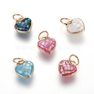 Brass Enamel Charms, with Freshwater Shell, Heart, Golden, Mixed Color, 11.5x10x5.3mm, Hole: 6x0.7mm(KK-E764-01)