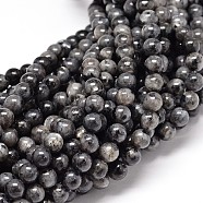 Natural Larvikite Round Bead Strands, 6mm, Hole: 1mm, about 62pcs/strand, 15.5 inch(G-P075-30-6mm)