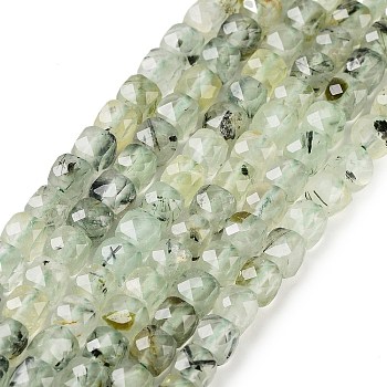 Natural Prehnite Beads Strands, Faceted, Cube, 4.5~5x4.5~5x4.5~5mm, Hole: 0.7mm, about 82~85pcs/strand, 15.16~15.55''(38.5~39.5cm)