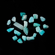 Natural Amazonite Chip Beads, No Hole/Undrilled, 5~10.5x5~7x2~4mm(G-M364-04B)