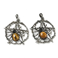 Natural Tiger Eye Pendants, Alloy Pentagram with Spider Charms, Antique Silver, 44.5x39x7mm, Hole: 7.5x6.5mm(G-P547-05AS-10)