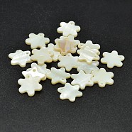 Dyed Freshwater Shell Flower Charms, Beige, 13x2mm, Hole: 1mm(SHEL-M002-02A)