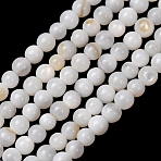 Natural Freshwater Shell Beads Strands, Smooth Round, White, 2.5mm, Hole: 0.7mm, about 69pcs/strand, 7.09''(18cm)(SH-CBA2978-07D-02)