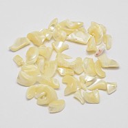 No Hole Natural Trochid Shell/Trochus Shell Chip Beads, Shell Shards, Light Goldenrod Yellow, 5~12x3~5mm(BSHE-M017-01)