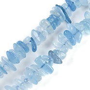 Natural Aquamarine Beads Strands, Chip, 8~11x3~5x6~9mm, Hole: 1mm, 16.14''(41cm)(G-E271-96B)