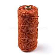 Cotton String Threads for Crafts Knitting Making, Salmon, 3mm, about 109.36 Yards(100m)/Roll(KNIT-PW0001-01-18)